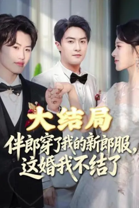 《伴郎穿了我的新郎服，这婚我不结了》封面