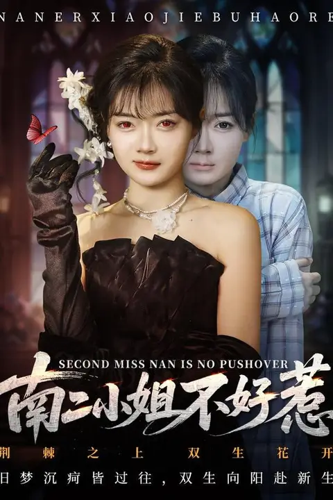 《南二小姐不好惹》封面