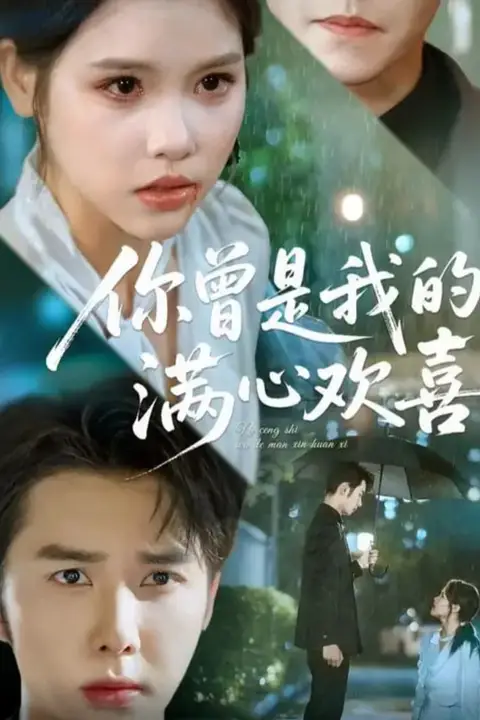 《你曾是我的满心欢喜》封面