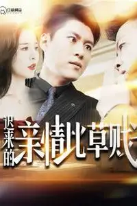 《迟来的亲情比草贱》封面