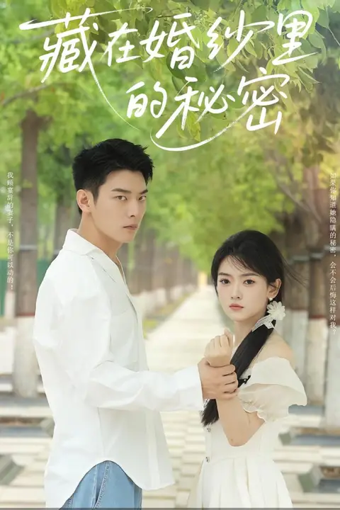 《藏在婚纱里的秘密》封面