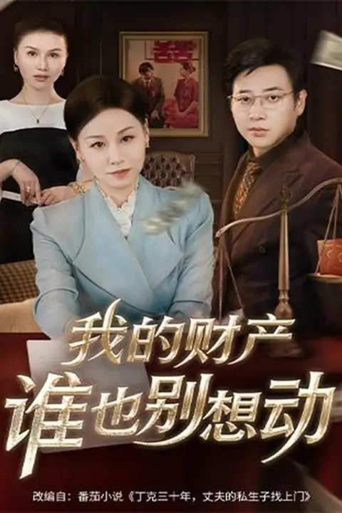 《我的财产谁也别想动》封面