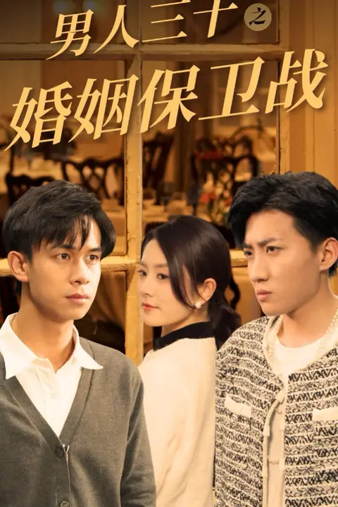 《男人三十之婚姻保卫战》封面