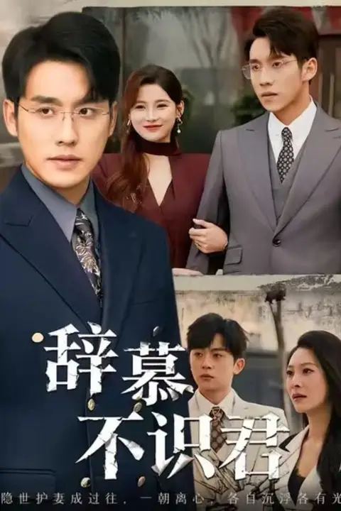 《辞慕不识君(七年情深终成侮)》封面