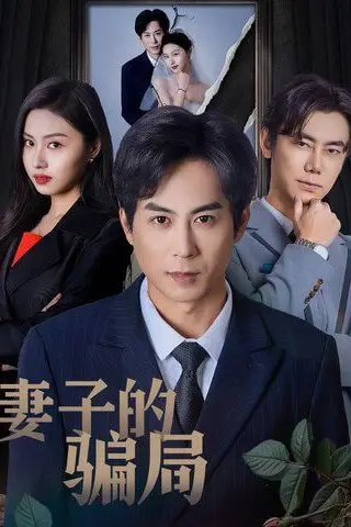 《妻子的骗局》封面