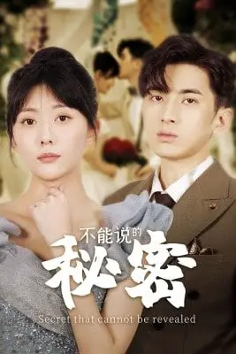 《不能说的秘密》封面