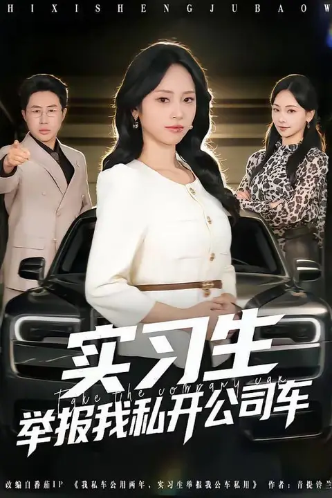 《实习生举报我私开公司车》封面