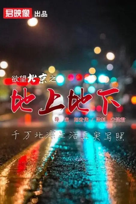 《欲望北京之地上地下》封面