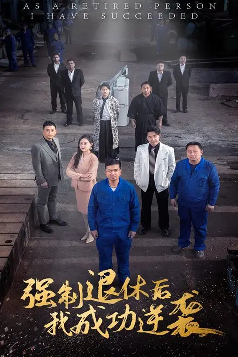 《强制退休后，我成功逆袭》封面