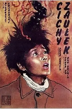 《小街》封面