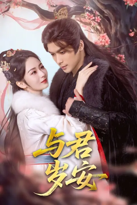 《与君岁安》封面