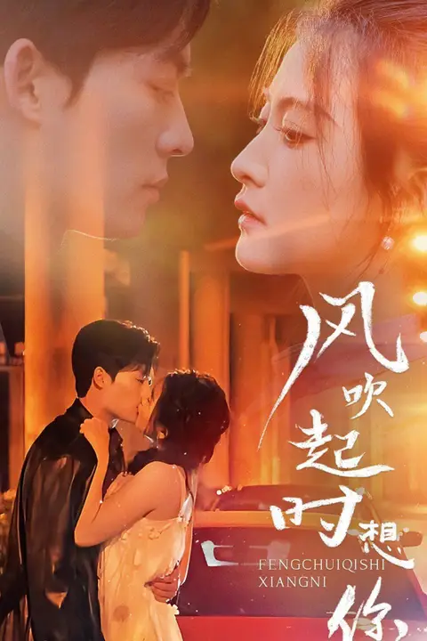 《风吹起时想你》封面