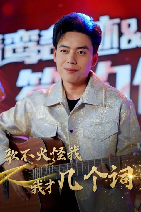 《歌不火怪我我才几个词》封面