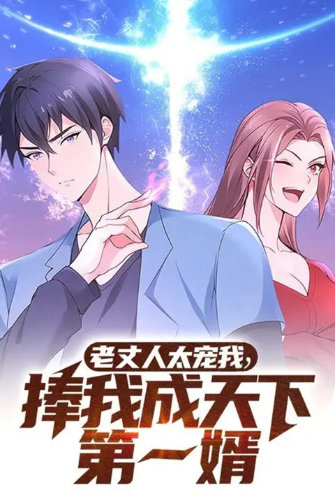 《老丈人太宠我捧我成天下第一婿》封面