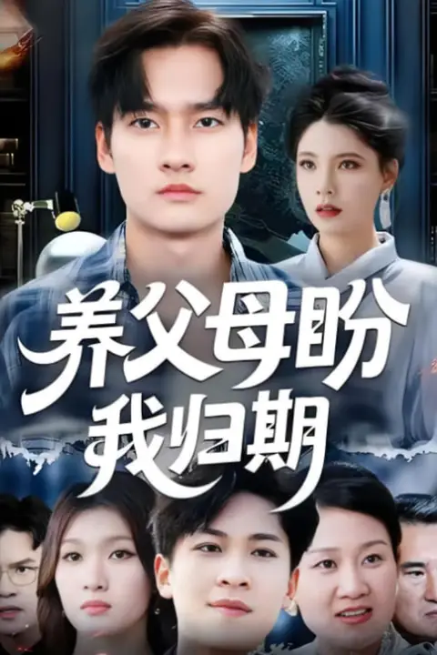 《养父母盼我归期》封面