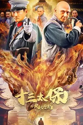 《十三太保之风云再起》封面