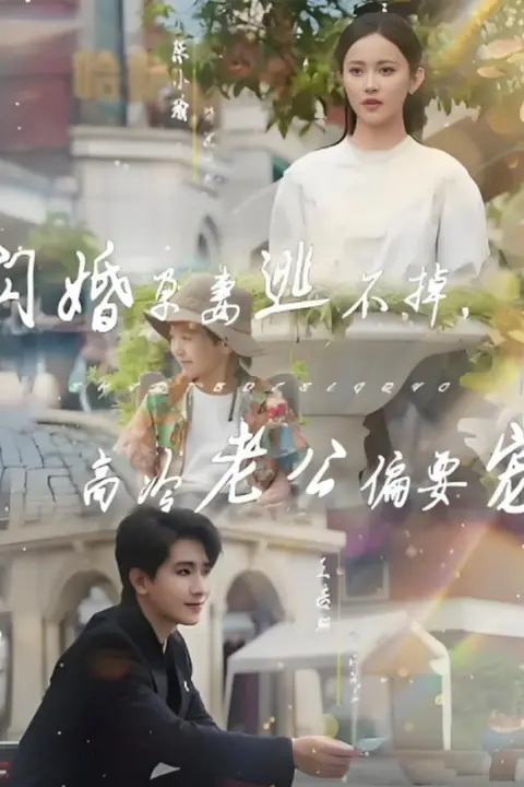 《闪婚孕妻逃不掉,高冷老公偏要宠》封面