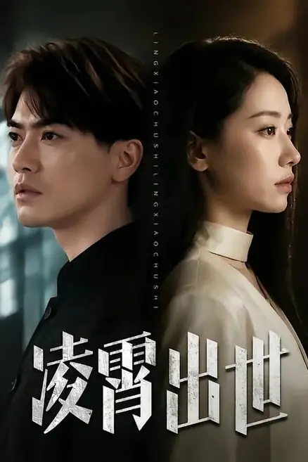 《凌霄出世》封面