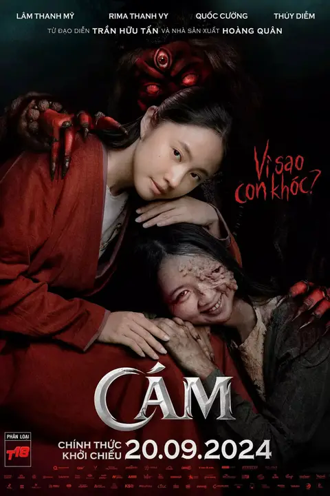 《阿糠》封面