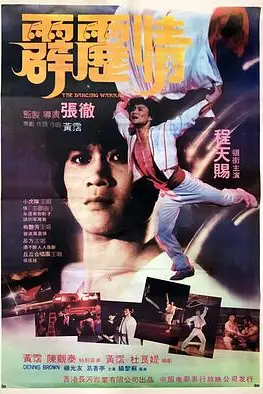《霹雳情》封面