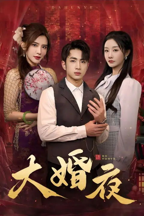 《大婚夜》封面