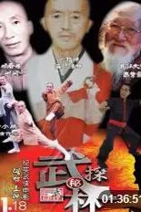 《武林探秘》封面