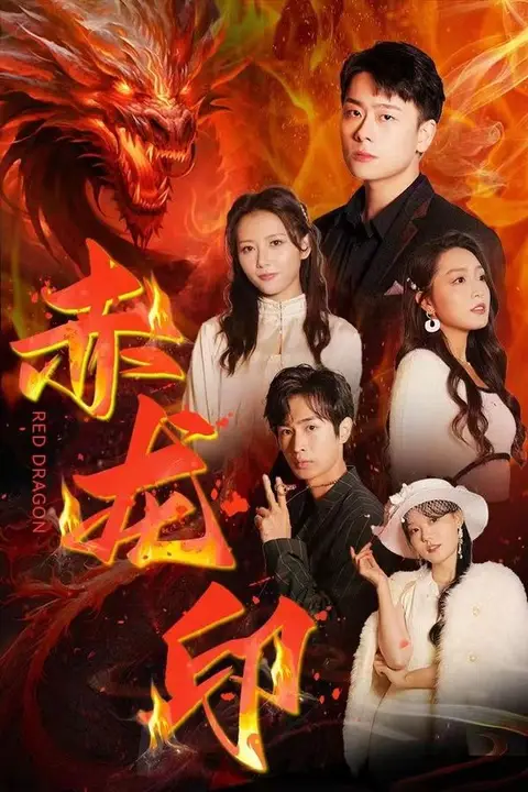 《赤龙印》封面