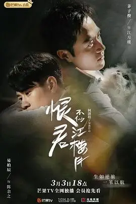 《恨君不似江楼月》封面