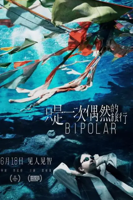 《只是一次偶然的旅行》封面