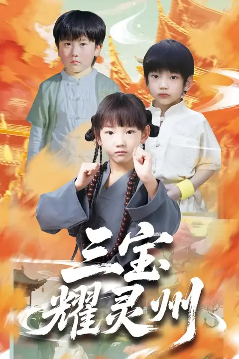 《三宝耀灵州》封面
