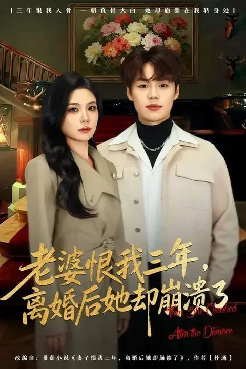 《老婆恨我三年,离婚后她却崩溃了》封面
