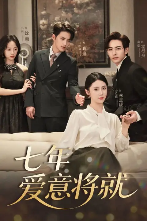 《当时明月再难圆,七年爱意将就》封面