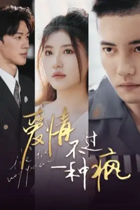 《爱情不过一种疯》封面