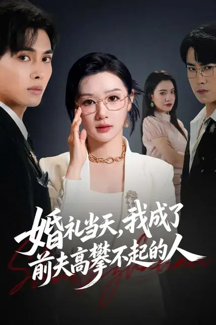 《婚礼当天，我成了前夫高攀不起的人》封面