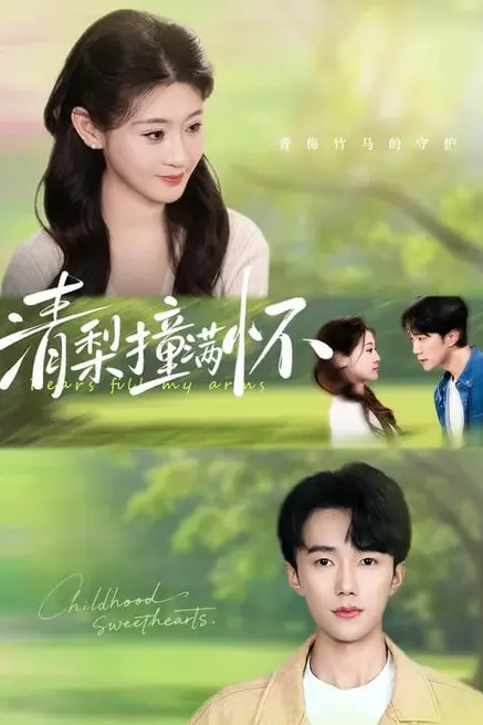 《清梨撞满怀》封面