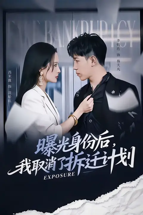 《曝光身份后，我取消了拆迁计划》封面