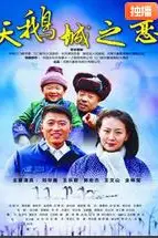 《天鹅城之恋》封面