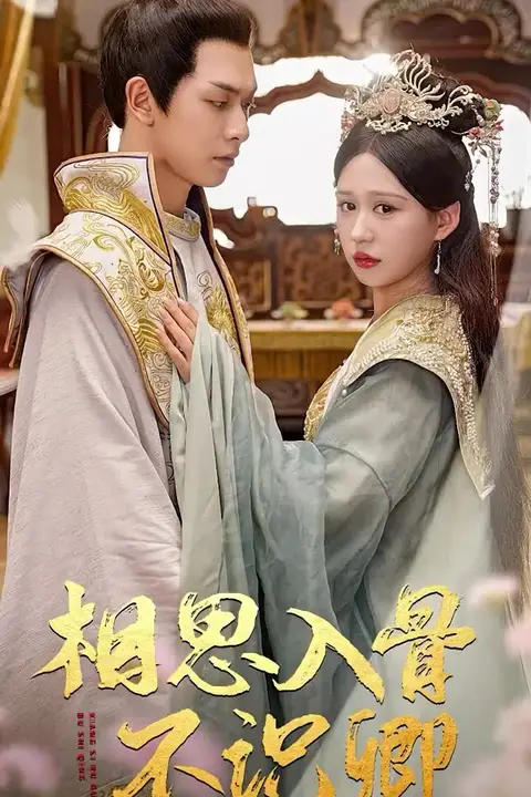 《相思入骨不识卿》封面