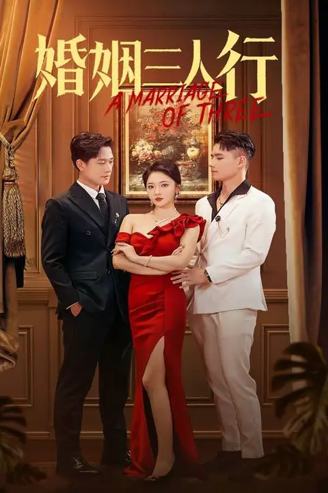 《婚姻三人行》封面
