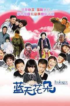 《蓝天花朵》封面