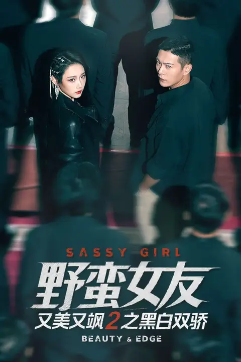 《野蛮女友又美又飒2之黑白双骄》封面