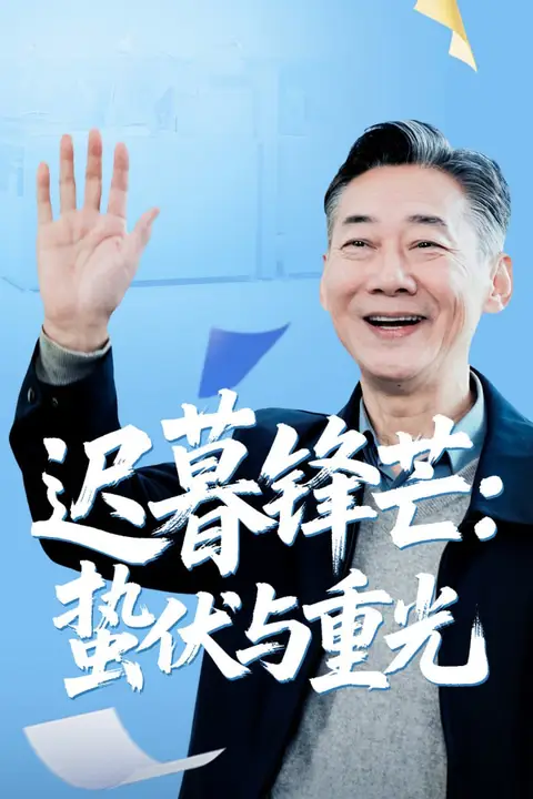 《迟暮锋芒蛰伏与重光》封面