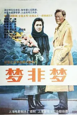 《梦非梦》封面