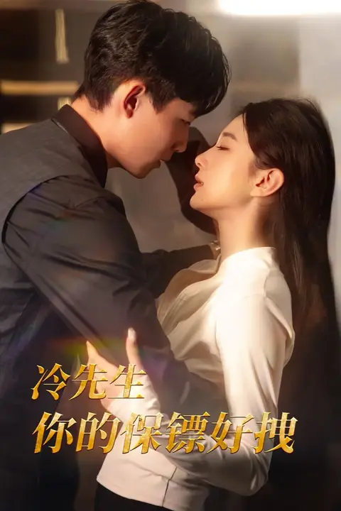 《冷先生你的保镖好拽》封面