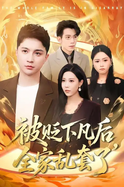 《被贬下凡后全家乱套了》封面