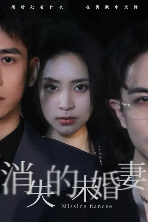 《消失的未婚妻》封面