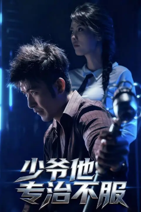 《少爷他专治不服》封面