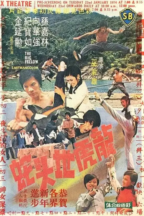 《龙虎地头蛇》封面