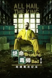 《绝命毒师 第三季 幕后纪实》封面