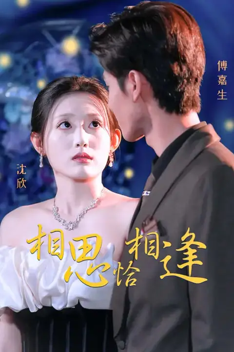 《相思恰相逢》封面